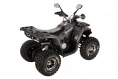 Квадроцикл Avantis Shark HS8 150 Premium