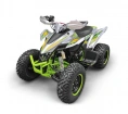 Квадроцикл YACOTA TYPHOON 250