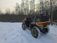 Квадроцикл BRC X-Terra 100 CT