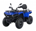 Квадрицикл Bizon YK250 LUX EFI