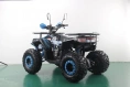 Квадроцикл Racer FREELANDER PRO125 XTS
