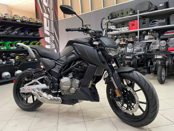 Мотоцикл Regulmoto ALIEN MONSTER 300