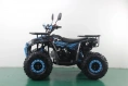 Квадроцикл Racer FREELANDER PRO125 XTS