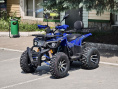 Квадроцикл Lion 200 R