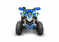 Квадроцикл RC250 Typhoon