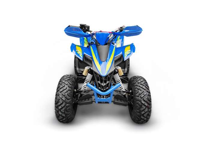 Квадроцикл RC250 Typhoon