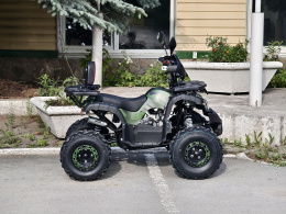 Квадроцикл Lion 125 CC камуфляж