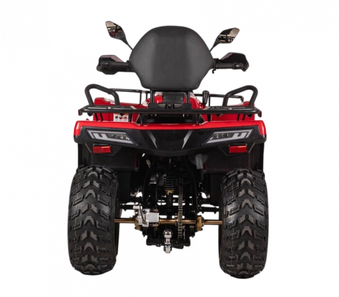 Квадрицикл Bizon YK250 LUX EFI