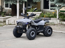 Квадроцикл Lion 125 RR серый