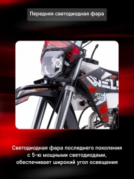 Питбайк WELS RTX 125 17/14