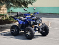 Квадроцикл Lion 200 R