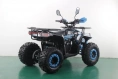 Квадроцикл Racer FREELANDER PRO125 XTS