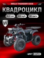 Квадроцикл WELS ATV THUNDER 200 (E200) NEW