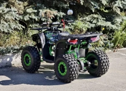 Квадроцикл Lion 125 А lite