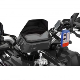 Квадроцикл бензиновый WHITE SIBERIA BARS 200CC PRO (черный)