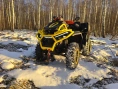 Квадроцикл BRC X-Terra 100 CT
