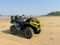 Квадроцикл BRC X-Terra 100 CT