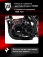Мотоцикл WELS RTX300 21/18