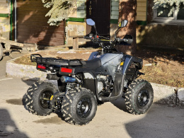 Квадроцикл Lion 125 RR черный(карбон)