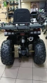 Квадроцикл TAO TAO Warrior 200 LUX