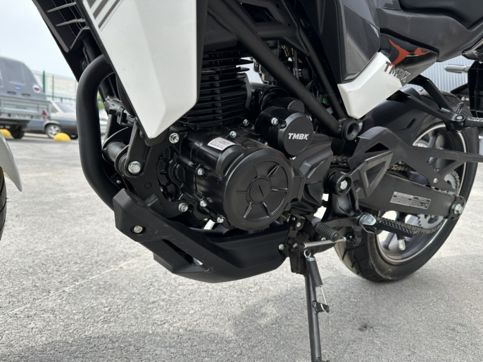 Мотоцикл TMBK MONTANA 250 (165FMM) ЭПТС