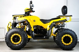 Квадроцикл SPRMOTORS ATV Blade- 200V