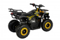 Детский квадроцикл Avantis  ATV Classic mini 4T