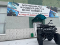 Квадроцикл NEO ATV HAMMER 6 250L BASIC