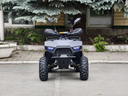 Квадроцикл Lion 125 RR серый