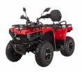 Квадрицикл Bizon YK250 LUX EFI