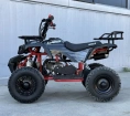 Квадроцикл WELS ATV THUNDER MINI 2T