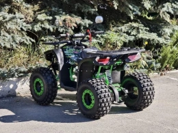 Квадроцикл LION 200 LITE