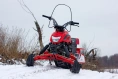 Снегоход DINGO T200 2023