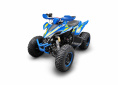 Квадроцикл RC250 Typhoon