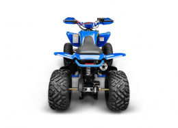 Квадроцикл RC250 Typhoon