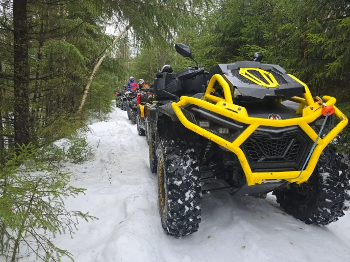 Квадроцикл BRC X-Terra 100 CT