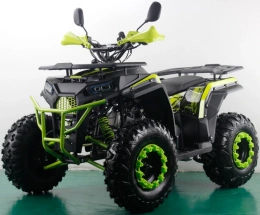 Квадроцикл FREELANDER PRO200 XTS
