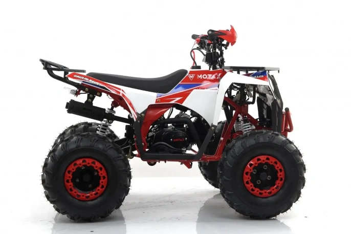 Квадроцикл ATV Motax Grizlik Super Lux 125