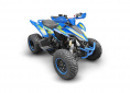 Квадроцикл RC250 Typhoon