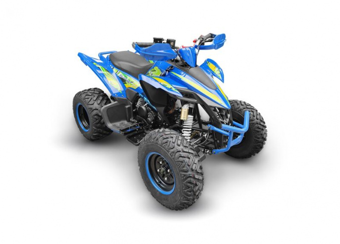 Квадроцикл RC250 Typhoon