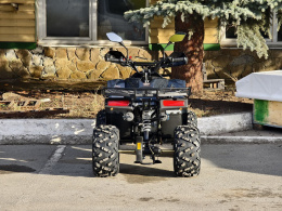Квадроцикл Lion 125 RR черный(карбон)