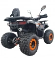 Квадроцикл Dazzle ATV 125 Комплектация 1