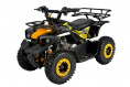 Детский квадроцикл Avantis  ATV Classic mini 4T