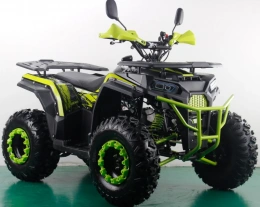 Квадроцикл FREELANDER PRO200 XTS