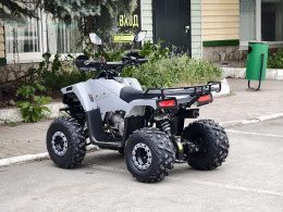 Квадроцикл Lion 125 RR серый