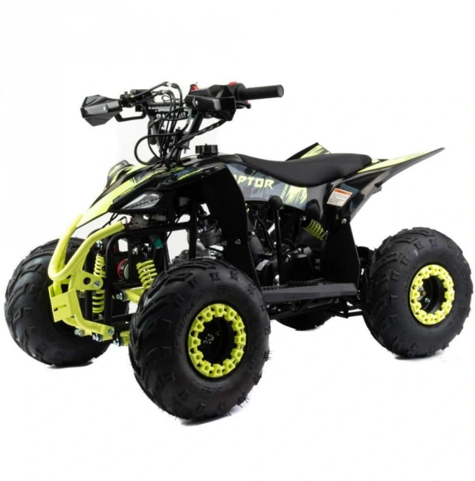 Квадроцикл RACER RAPTOR 110