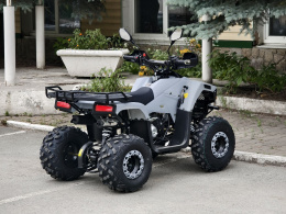 Квадроцикл Lion 125 RR серый
