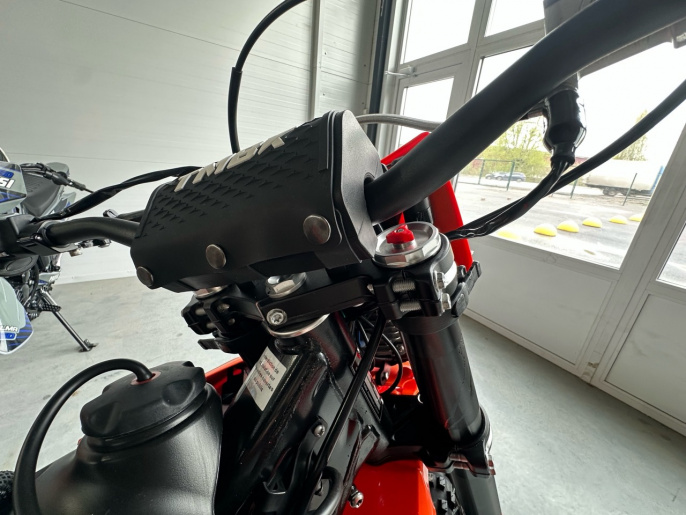 Мотоцикл TMBK Magnetic 300 (PR300)