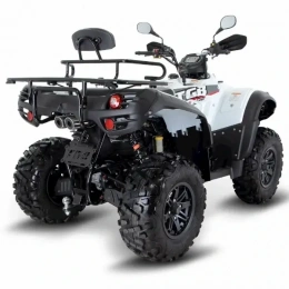 Квадроцикл TGB Blade 500 SL