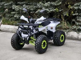 Квадроцикл детский Lion 125 AY белый
